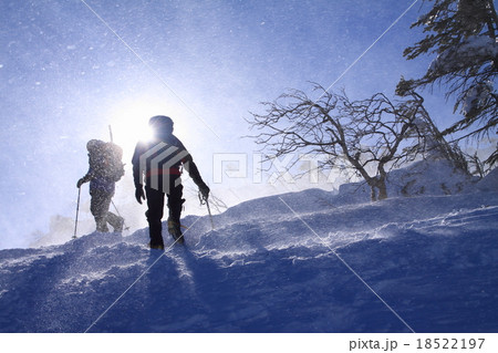 地吹雪の中を頂上目指して 18522197