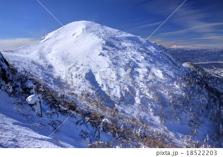 純白の西天狗 18522203