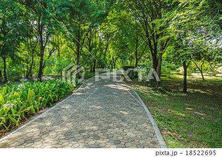 garden in park 18522695