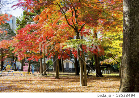 わが町シリーズ・秋の勝山公園 18523494