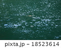 湖面の凍結模様 18523614