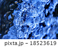 小さな沢筋の氷造形 18523619