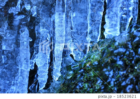 小さな沢筋の氷造形 小さな沢筋の氷造形 18523621