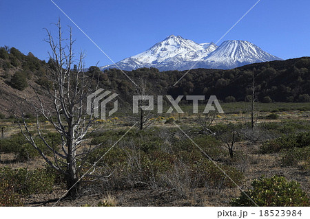 マウント・シャスタ マウント・シャスタ 18523984