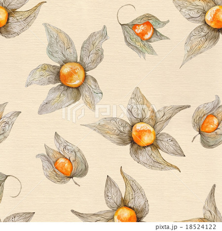 Warm Watercolor Physalis Pattern Warm Watercolor Physalis Pattern 18524122