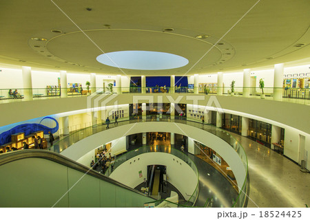 恐竜博物館 18524425