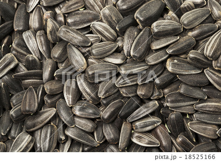 sunflower seeds  18525166