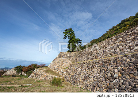 巻石垣（鳥取城） 18528913