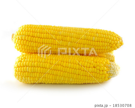 corn on a white background corn on a white background 18530708