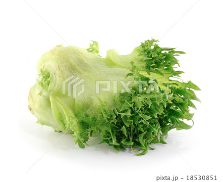 lettuce on white background 18530851