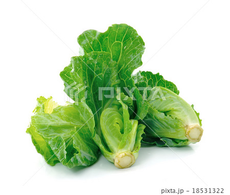 Chinese kale vegetable Chinese kale vegetable 18531322