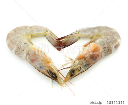 Raw shrimp 18531351