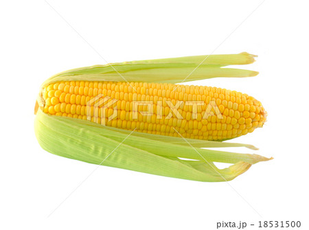 corn on a white background 18531500