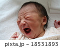 生まれたての赤ちゃんの泣き顔 18531893