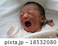 生まれたての赤ちゃんの泣き顔 18532080