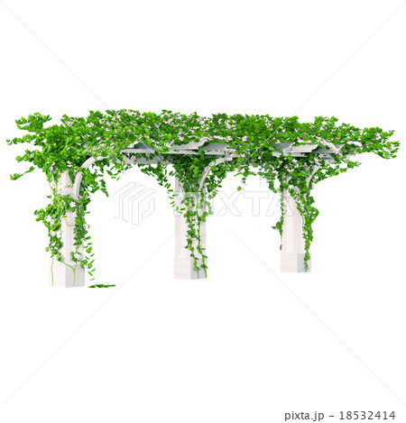 Wooden pergola with roses 18532414