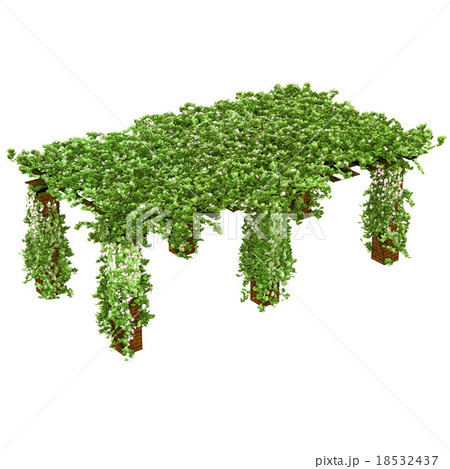 Huge pergola for outdoor purposes Huge pergola for outdoor purposes 18532437