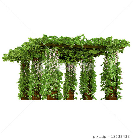 Outdoor arbor with ivy pergola Outdoor arbor with ivy pergola 18532438