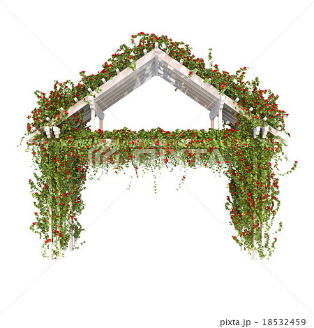 Wooden pergola with roses 18532459
