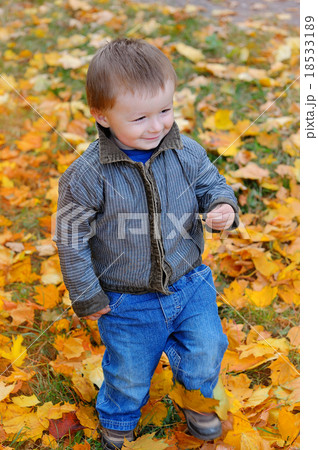 boy in the yellow leaves in autumn 18533189