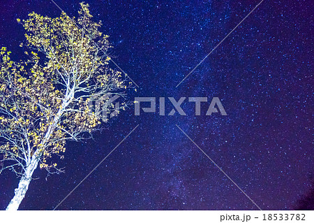 【日光・戦場ヶ原】秋の満天の星空 18533782