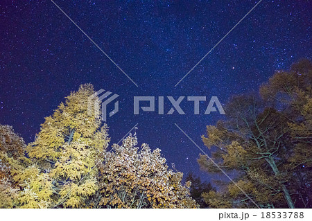 【日光・戦場ヶ原】秋の満天の星空 18533788