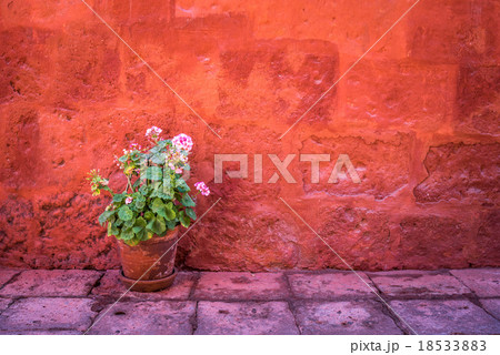 Santa Catalina Monastery, Arequipa, Peru 18533883