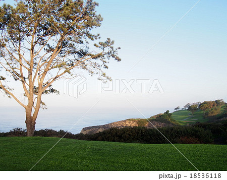 トーリーパインズゴルフコース 18536118