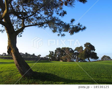 トーリーパインズゴルフコース 18536125