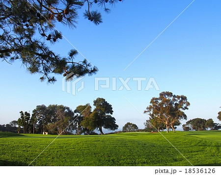 トーリーパインズゴルフコース 18536126