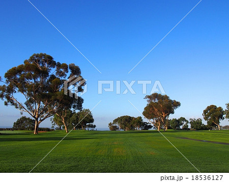 トーリーパインズゴルフコース トーリーパインズゴルフコース 18536127
