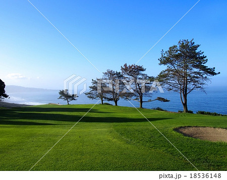 トーリーパインズゴルフコース 18536148