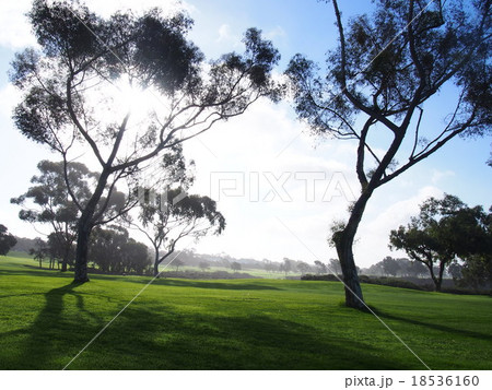 トーリーパインズゴルフコース 18536160