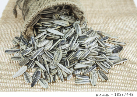 Sunflower seeds in sacks. 18537448