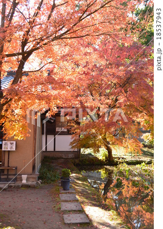 紅葉の山寺常山邸 18537943