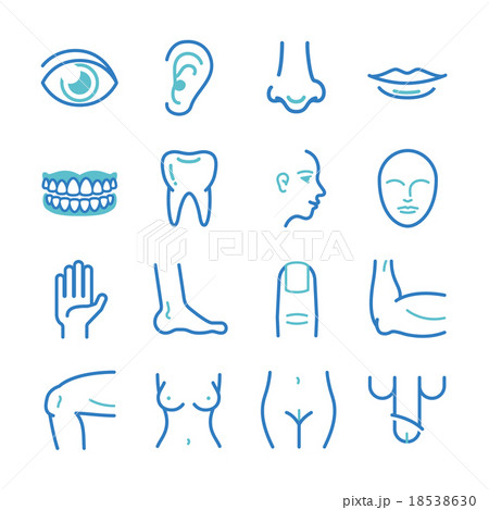 Human body - medical icons set Human body - medical icons set 18538630