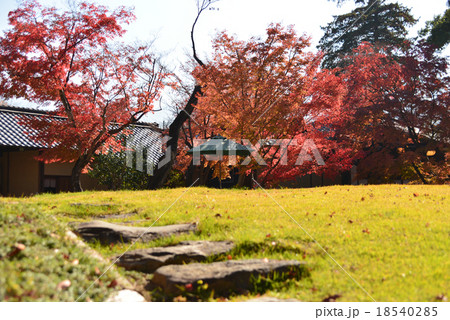 山寺常山邸の庭 18540285