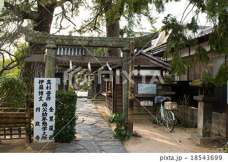 萩 18543699