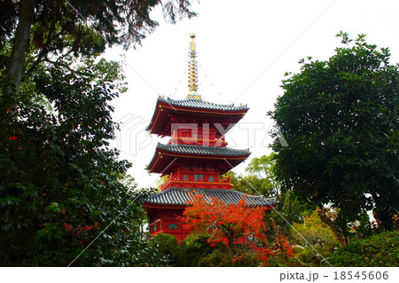 豊前国分寺三重塔  18545606