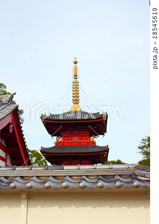 豊前国分寺三重塔  18545619