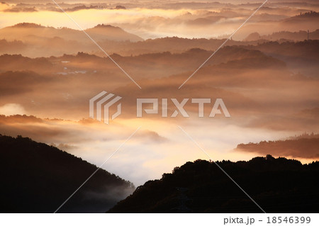 雲海8589 雲海8589 18546399