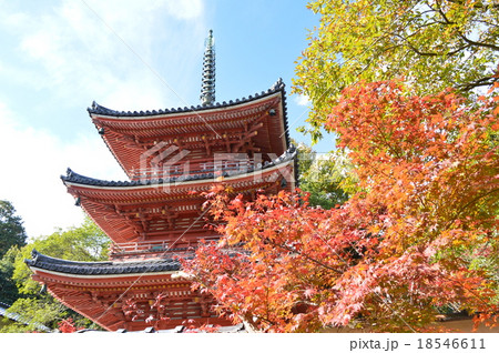 宝福寺の三重塔と紅葉 18546611