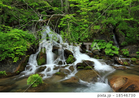 笛貫の滝１ 18546730