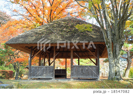 懐古園の紅葉、東屋 懐古園の紅葉、東屋 18547082