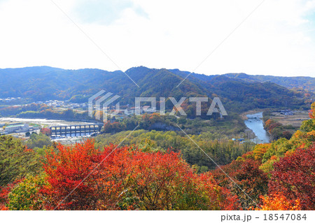 紅葉の懐古園、水の手展望台からの眺め 18547084