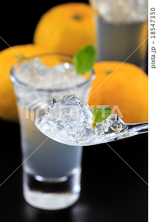 柚子ゼリー 柚子ゼリー 18547350