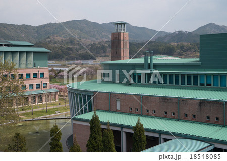春爛漫の高知工科大学　桜の花が新入生を待っている　高知県立　 18548085