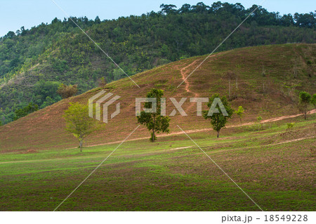 The landscape view of  grass mountain in Ranong 18549228