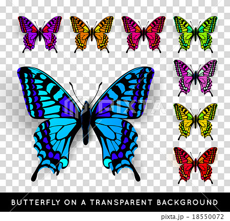 Realistic butterfly on transparent background Realistic butterfly on transparent background 18550072