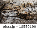 燃焼 燃える 燃やす 18550190